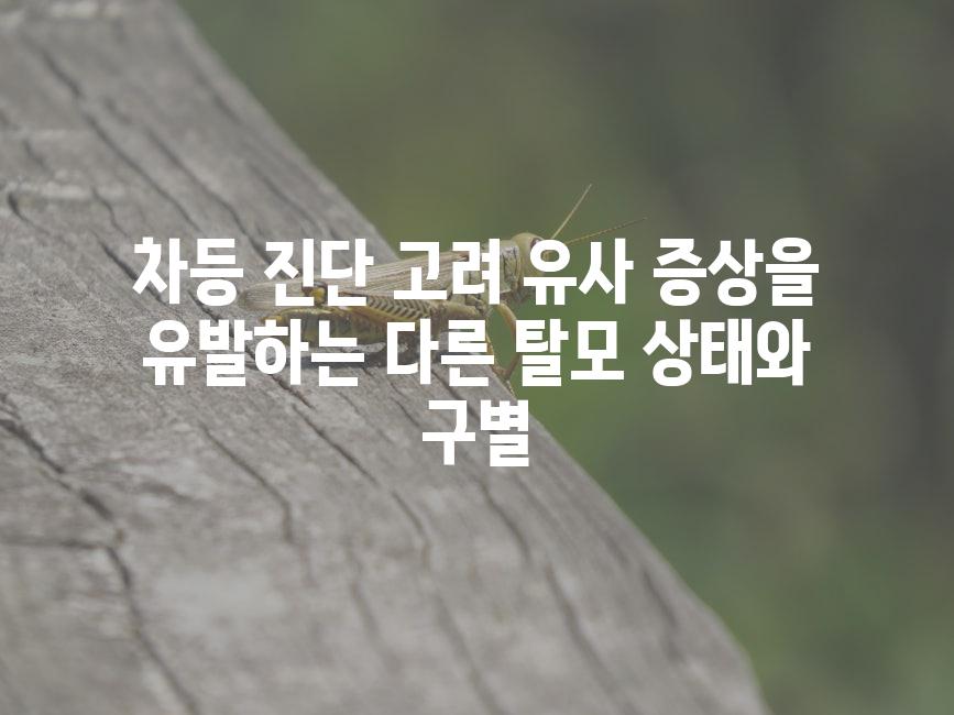 차등 진단 고려 유사 증상을 유발하는 다른 탈모 상태와 구별