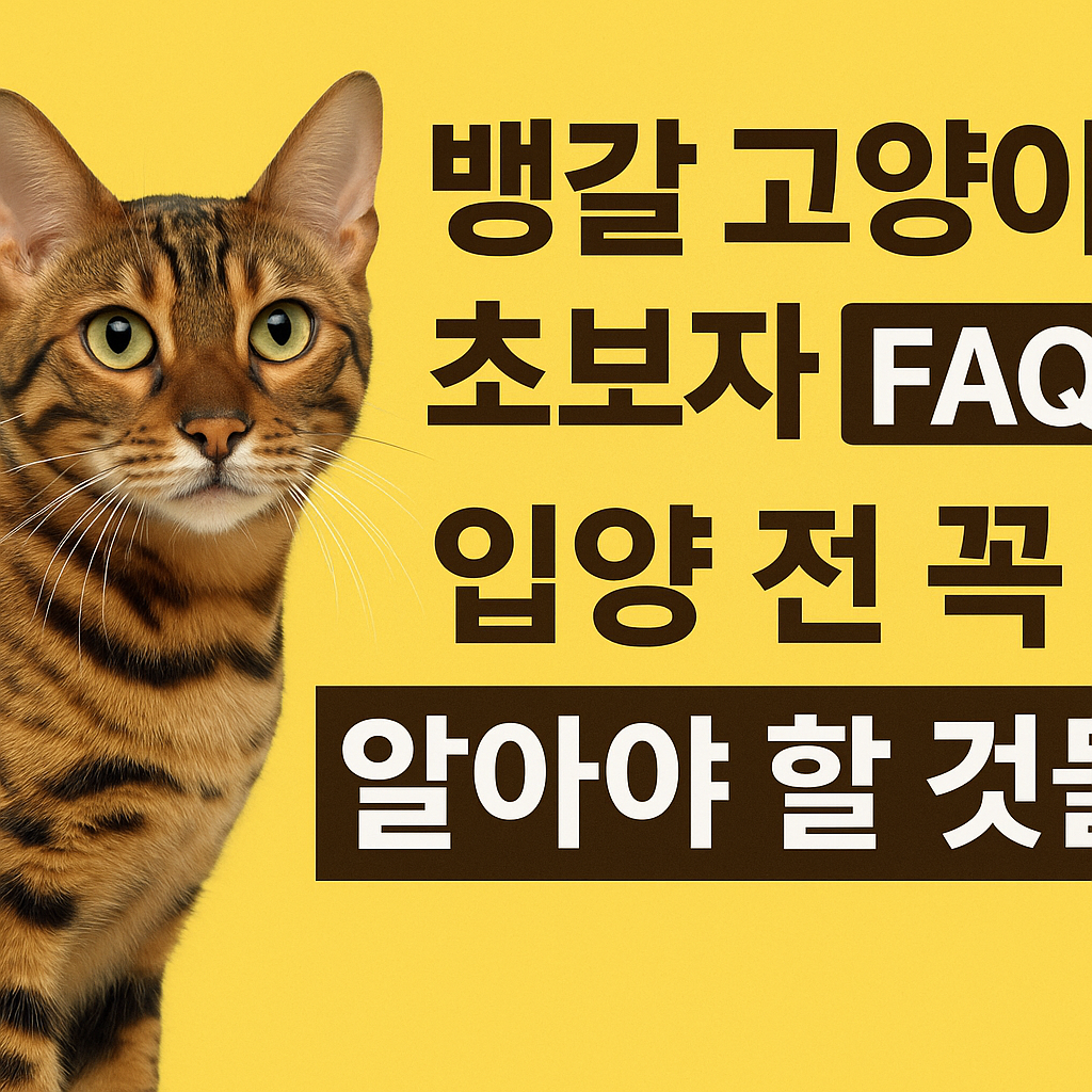 뱅갈 고양이