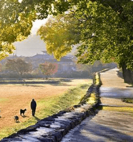 지방공기업 사이버연수원 홈페이지 접속 방법