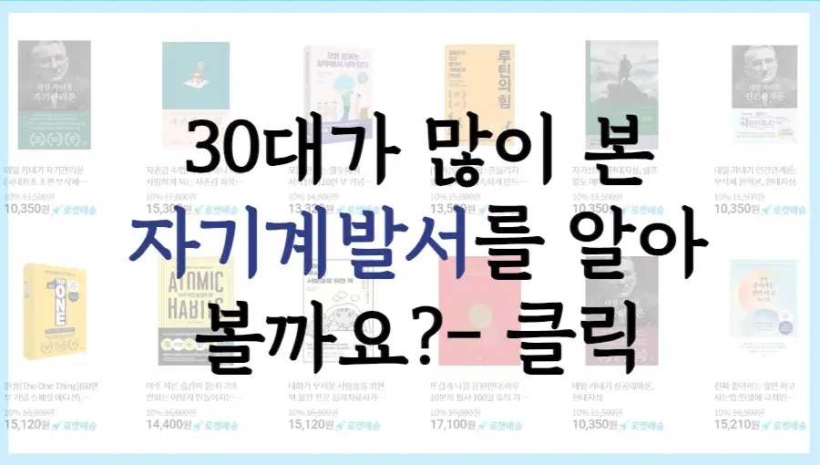 30대 자기계발서