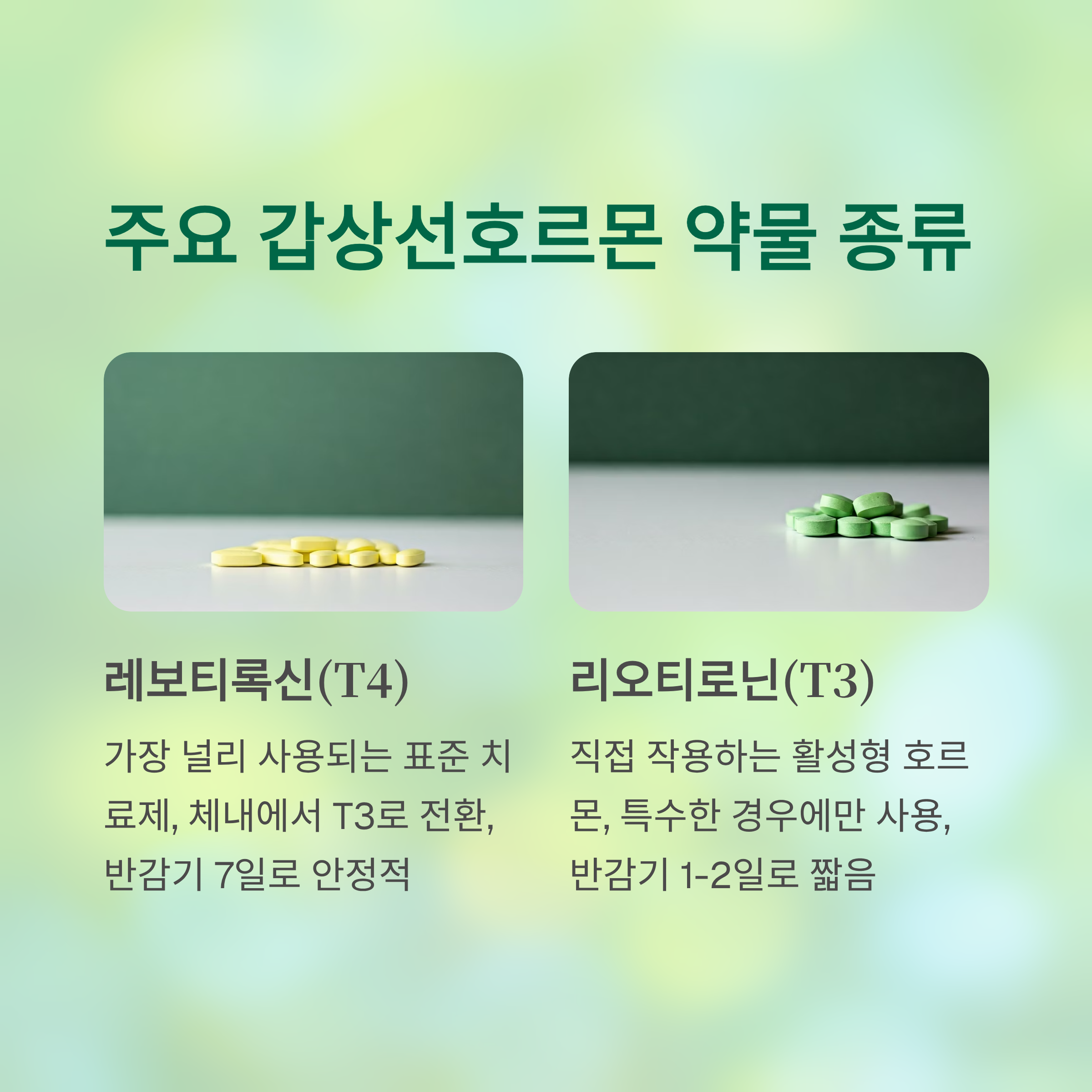 갑상선호르몬 약물 종류 특징