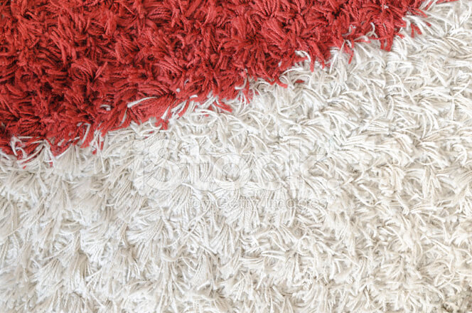 카페트 러그 구매가이드