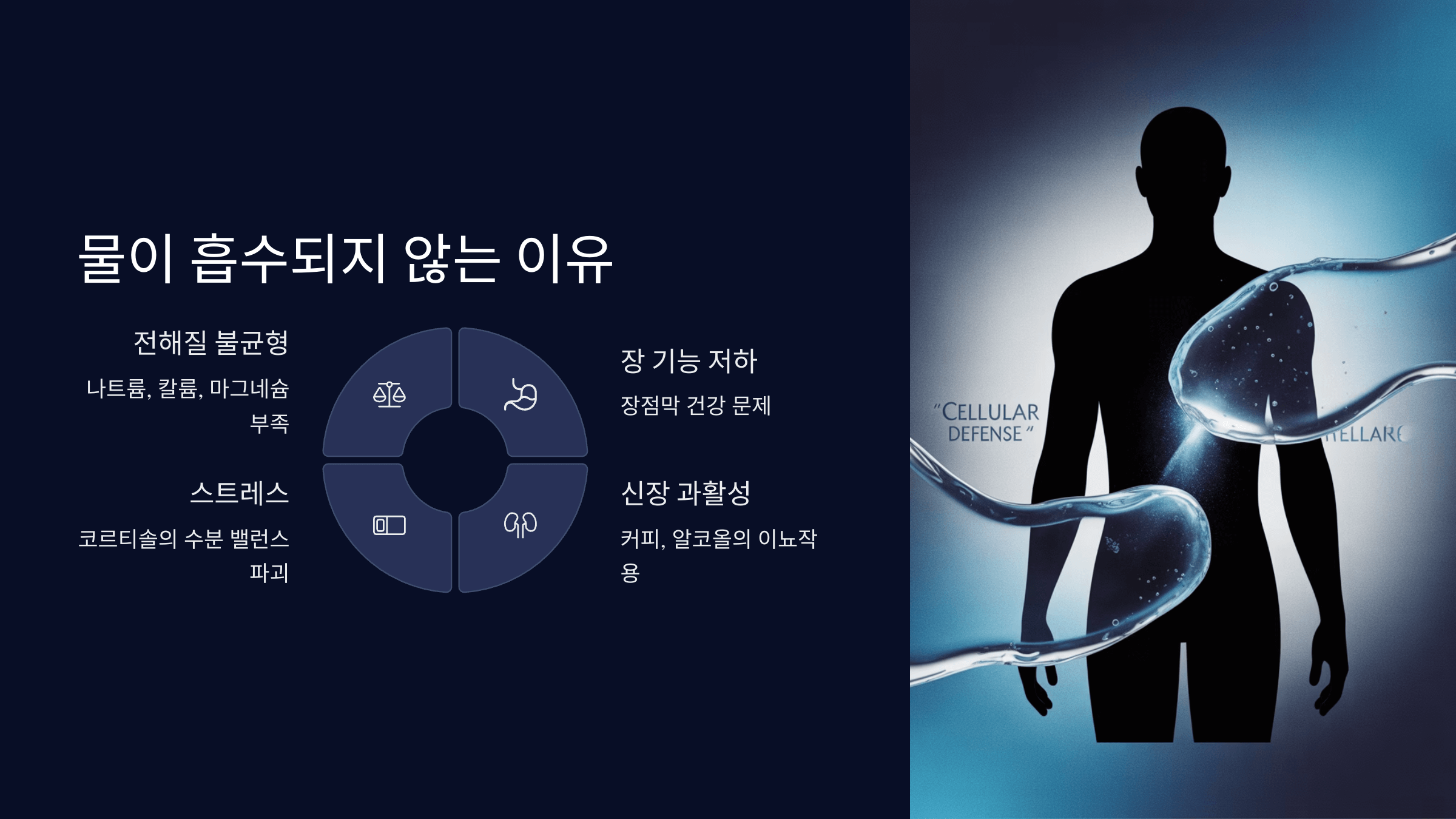 물이 흡수되지 않는 이유