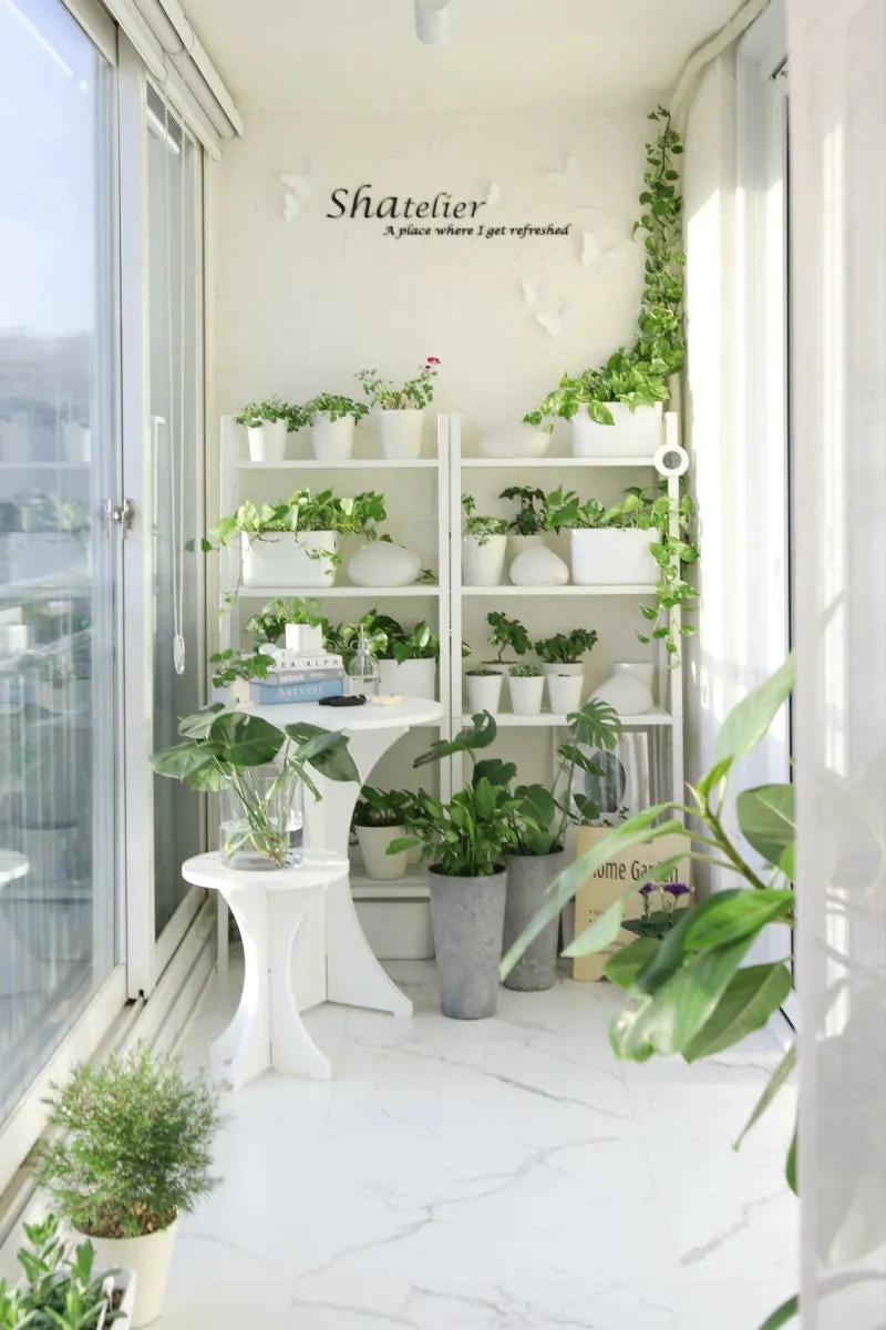 베란다정원 키우기 바람차단 햇빛차광 물주기 여름철 관리 요령_9