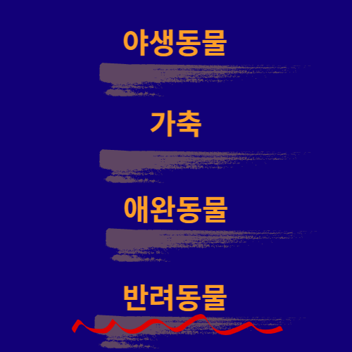 반려동물
