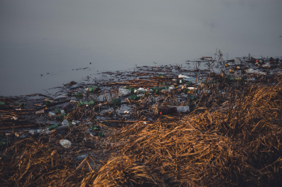 수질오염과 우리의 일상 (생활하수, 플라스틱, 건강) 관련 해변 플라스틱 쓰레기 이미지