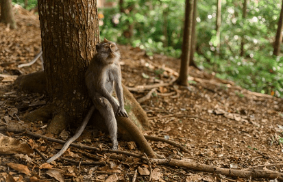발리 여행 준비물, 비행시간, 여행 선물 추천