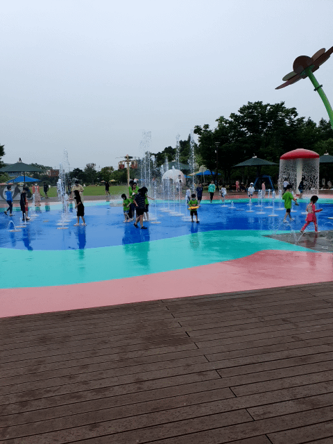 논산시민공원 분수대 움짤