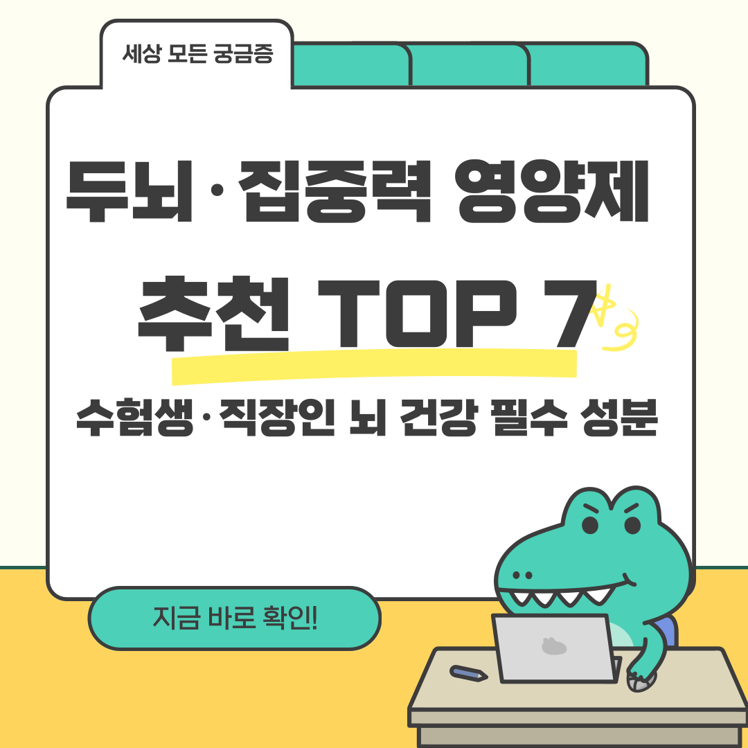 두뇌&middot;집중력 영양제 추천