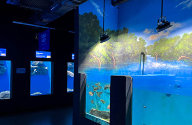 충북 아쿠아리움