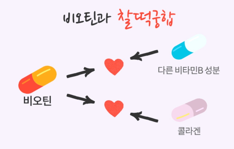 비오틴-콜라겐-궁합