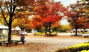 일산호수공원
