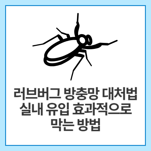러브버그-방충망-대처법-실내-유입-효과적으로-막는-방법