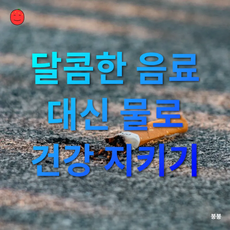건강한 식단 관리_3