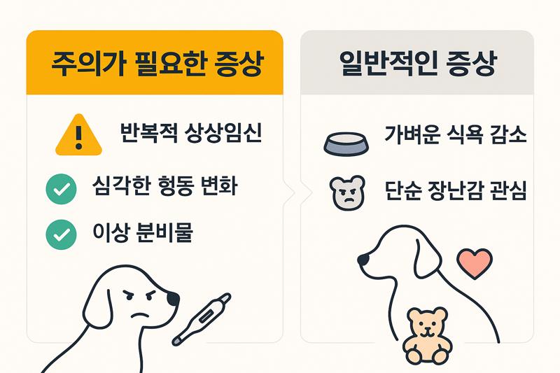 상상임신 관리를 위한 핵심 가이드