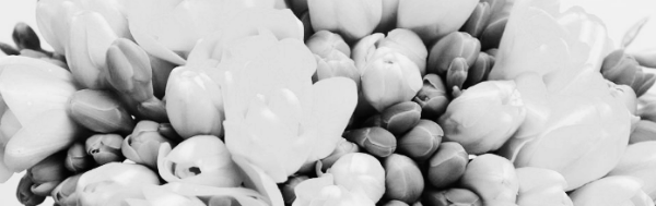 우정, 순진함, 사려 깊음, 인내