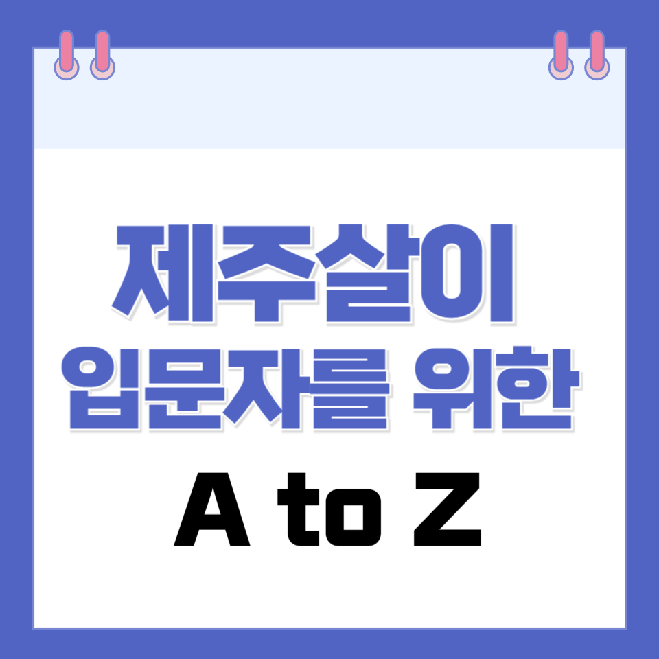 제주 한 달 살기 완벽 가이드