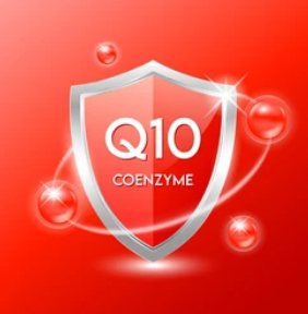 코큐텐 복용법 및 권장량