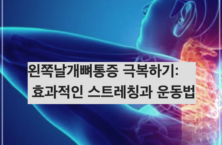 왼쪽날개뼈통증 극복하기: 효과적인 스트레칭과 운동법