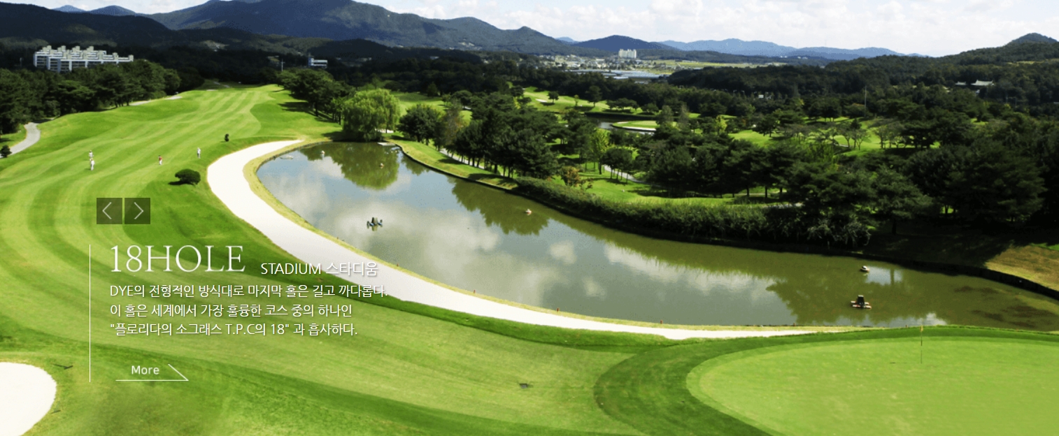 우정CC 골프장 예약, 고수들만 아는 꿀팁 대공개!