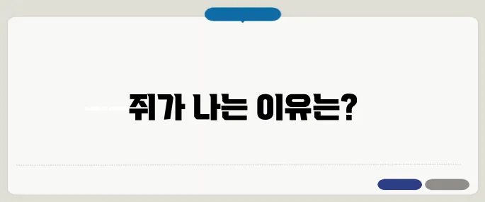 다리에 쥐가 자주 나는 이유 예방하는 법