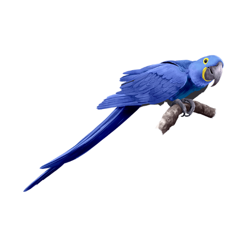 가평 베고니아새정원