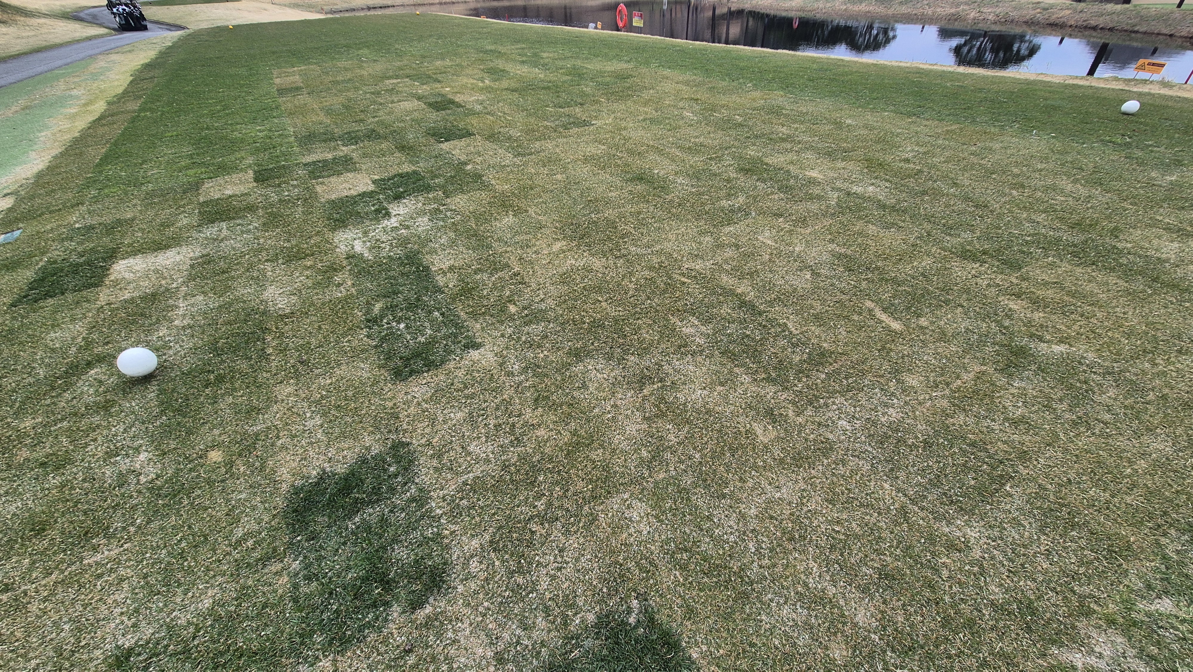 안성베네스트gc 동-남 코스 라운드 후기