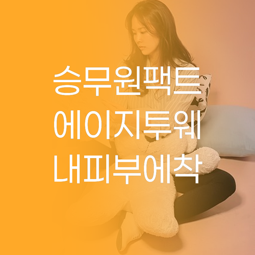 승무원팩트 vs 에이지투웨니스 커버팩