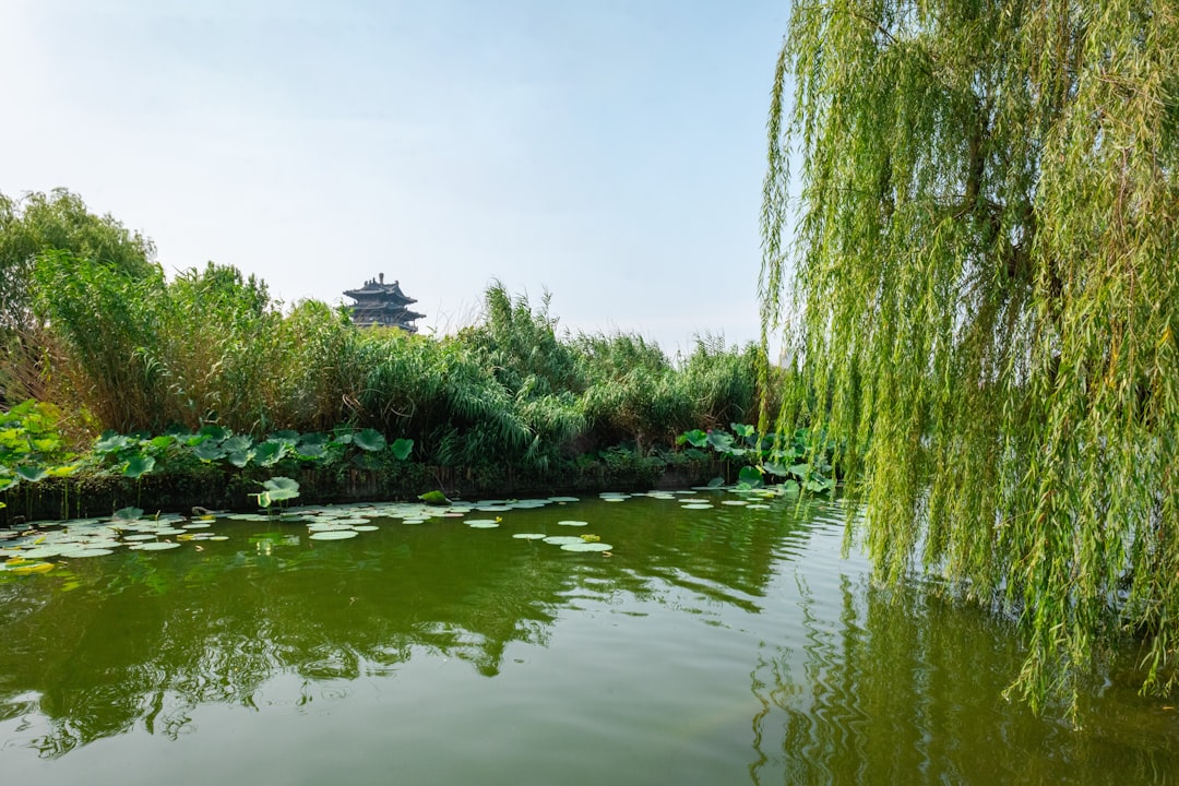 Jinan