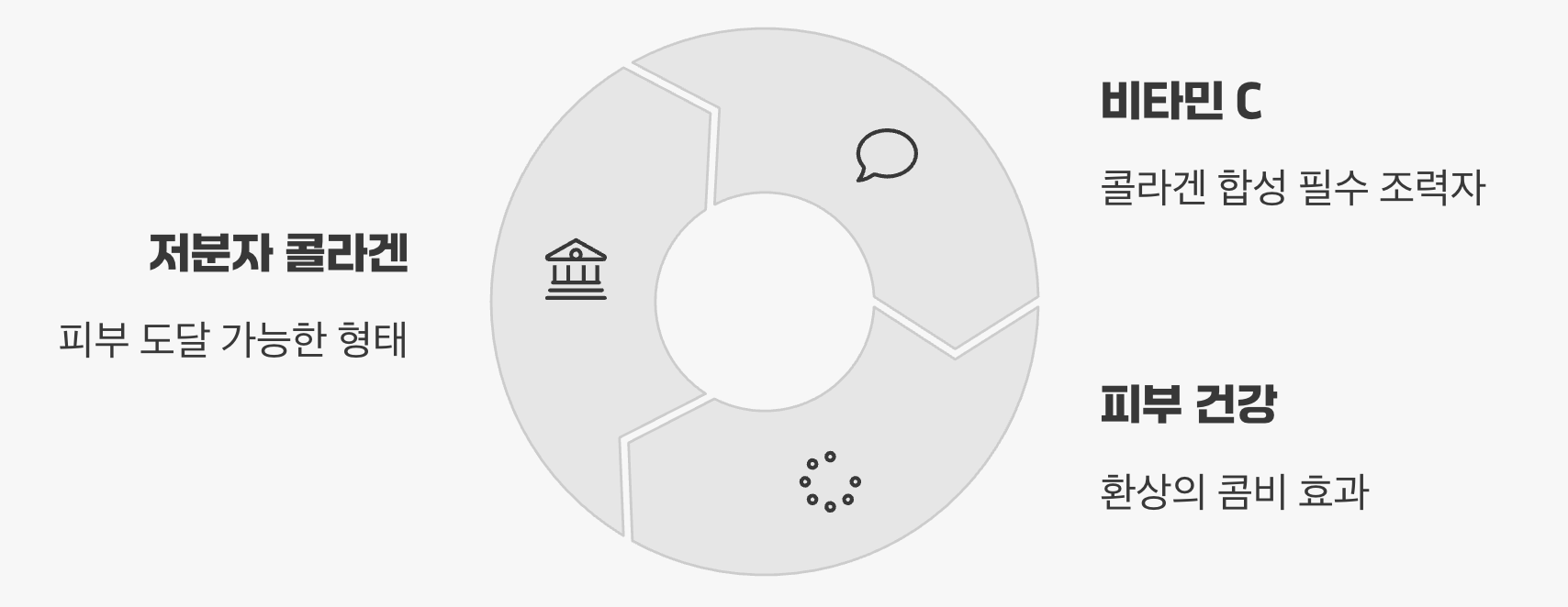 5. 흡수율을 높이는 시너지 파트너, '비타민 C'