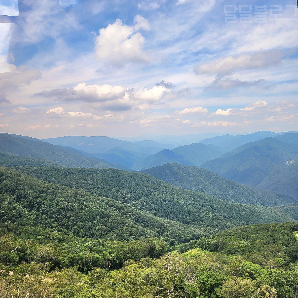 정선-파크로쉬-케이블카-정상-모습
