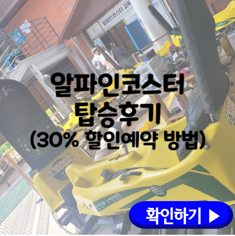 단양 알파인코스터