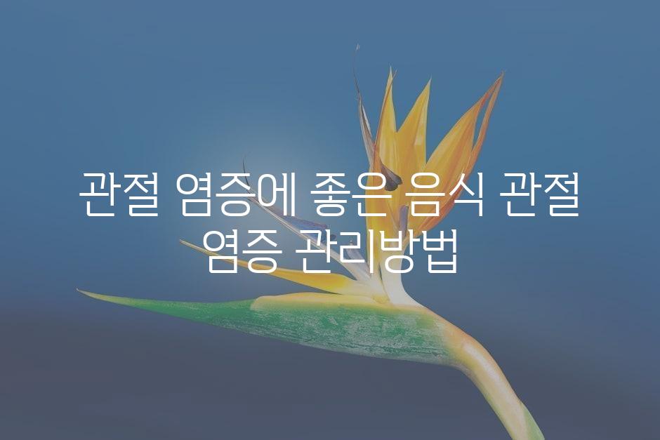 샘플 (45)