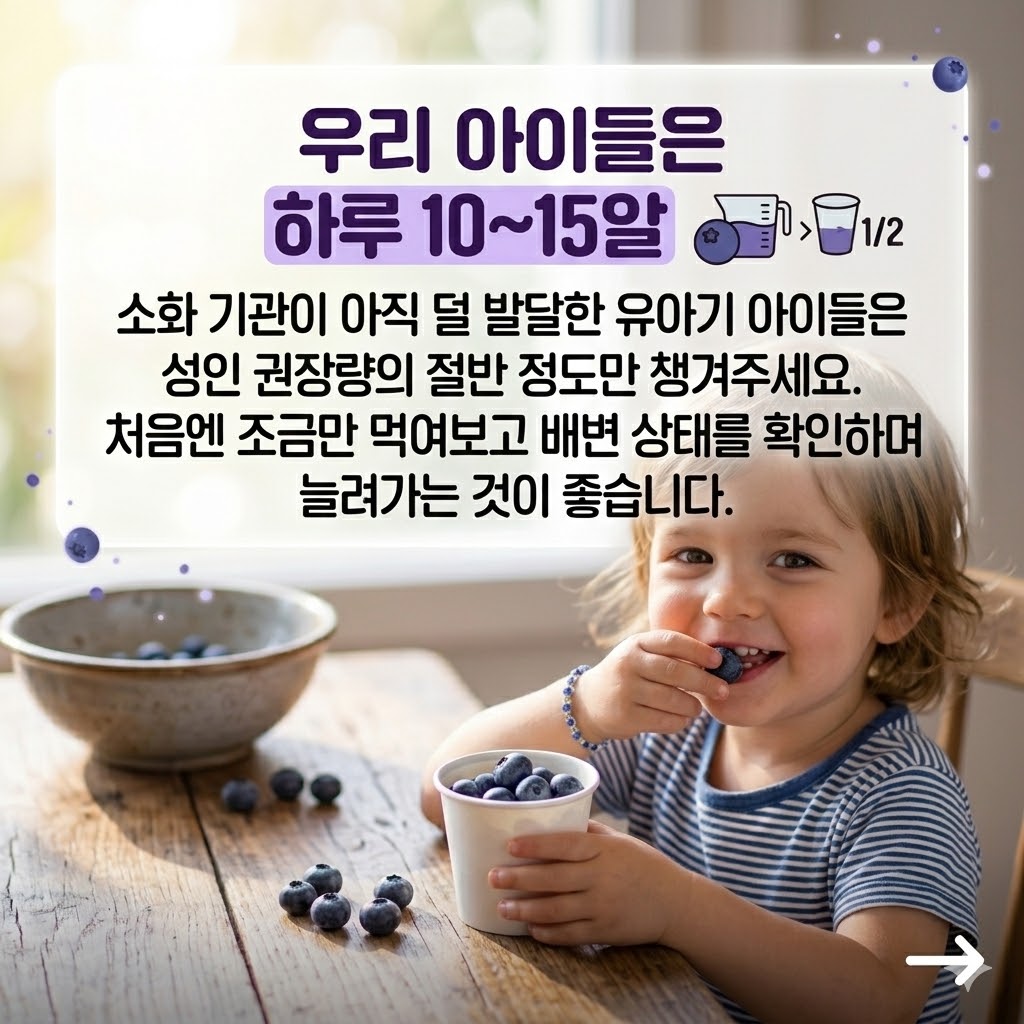 블루베리 하루 섭취량