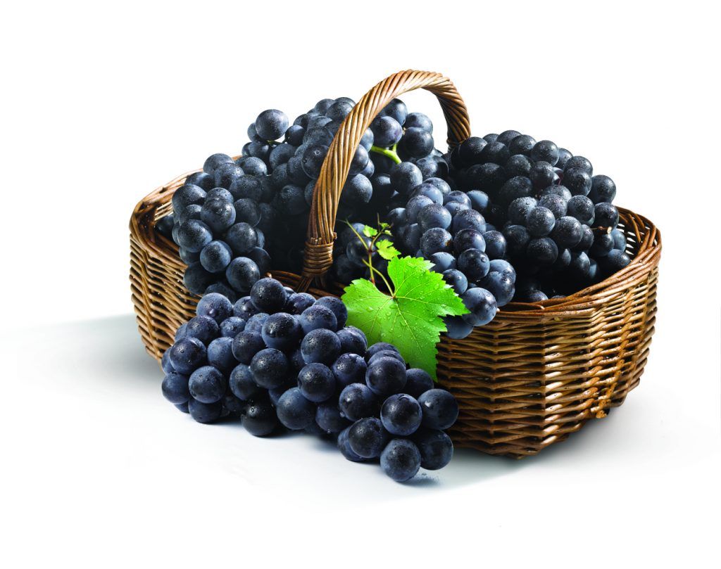 포도의 효능