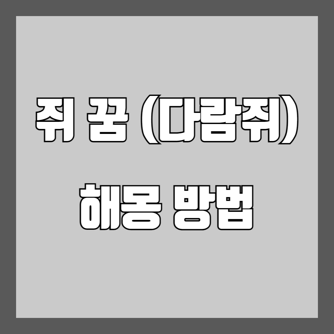쥐 꿈 해몽 풀이 (다람쥐)