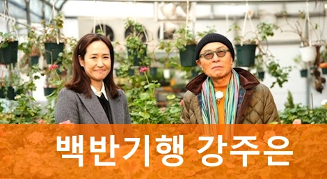 식객 허영만의 백반기행 강주은 남양주 봄나들이 밥상