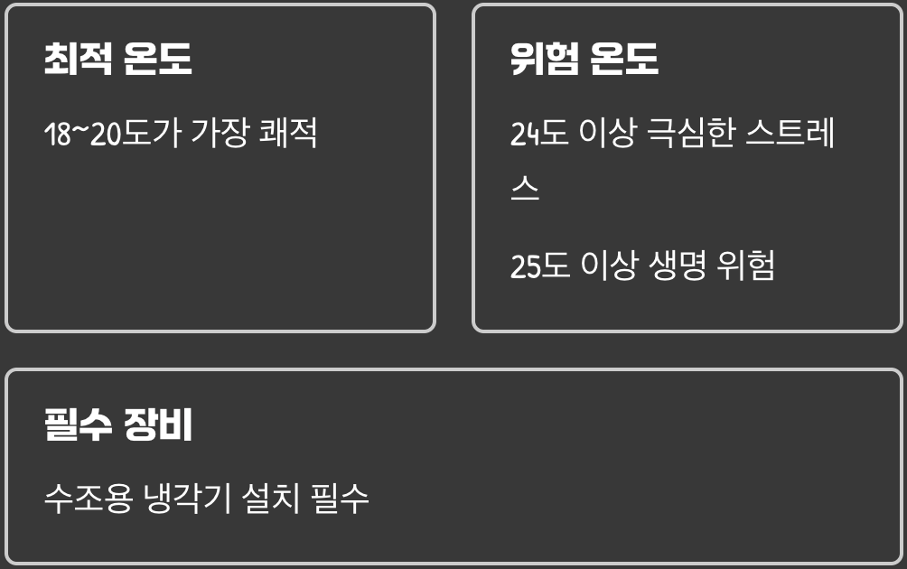 일 년 내내 겨울 궁전