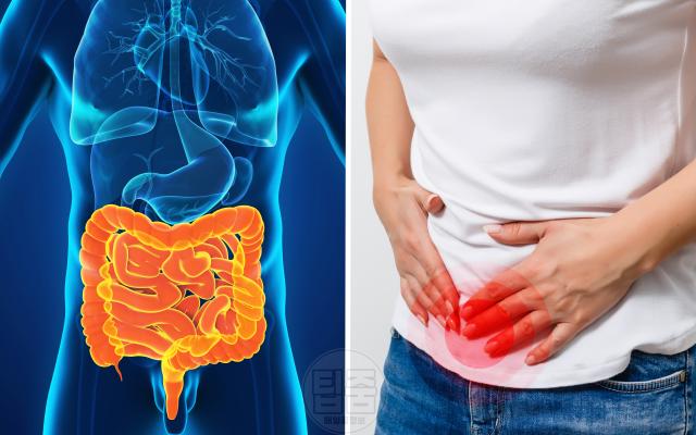 장 건강 장안좋을때가는병원 소화기내과 배앓이