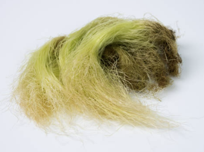 신장에 좋은 음식 신장 안좋으면 나타나는 현상 등 알아보기(24년 Ver)