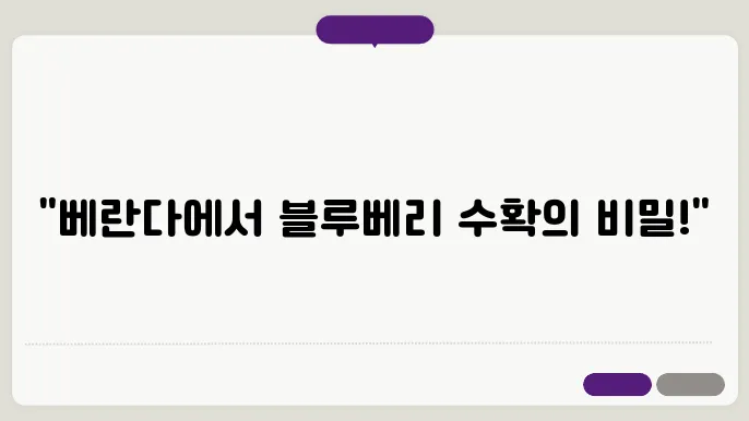 베란다에서 블루베리 키우기 베란다에서 가능한 간단한 방법