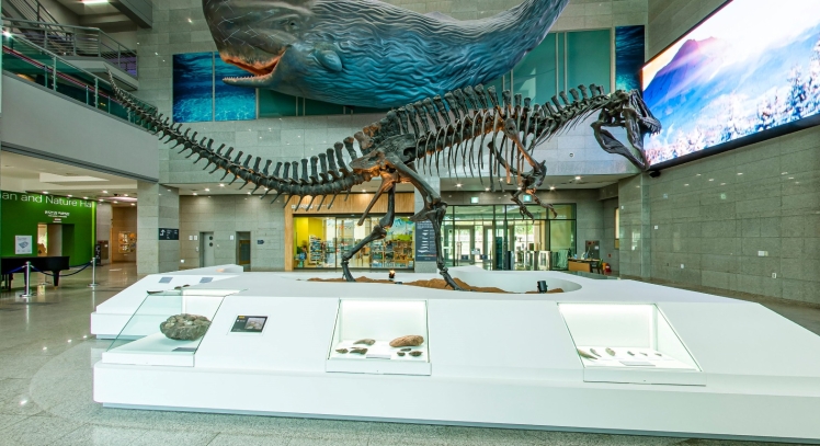 서울 박물관 서대문자연사박물관