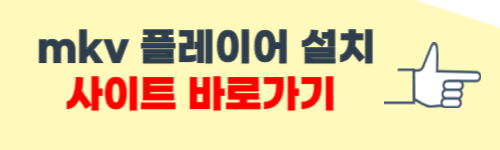 mkv 플레이어 다운로드 사이트