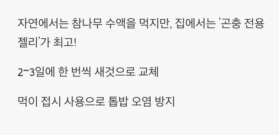 2. 최고의 만찬, 달콤한 곤충 젤리