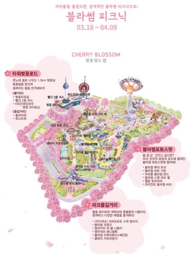 2023년 4월 봄꽃축제 대구 이월드블라썸피크닉