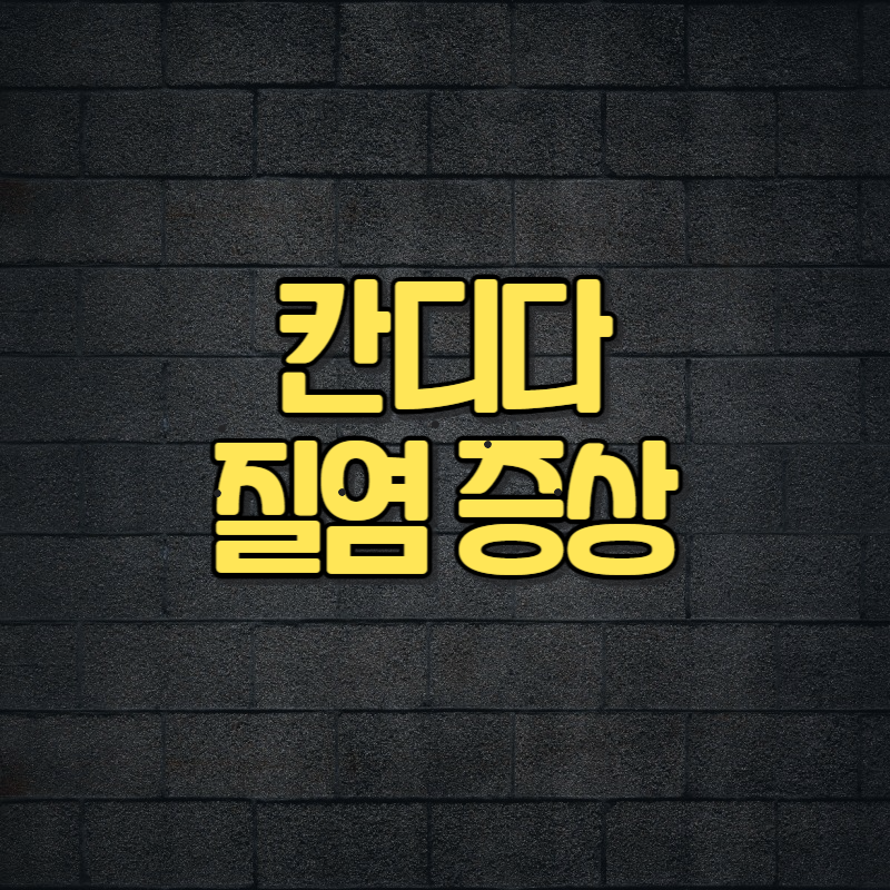 칸디다 질염 증상