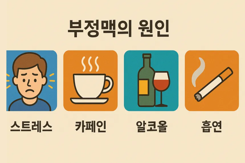 부정맥 원인