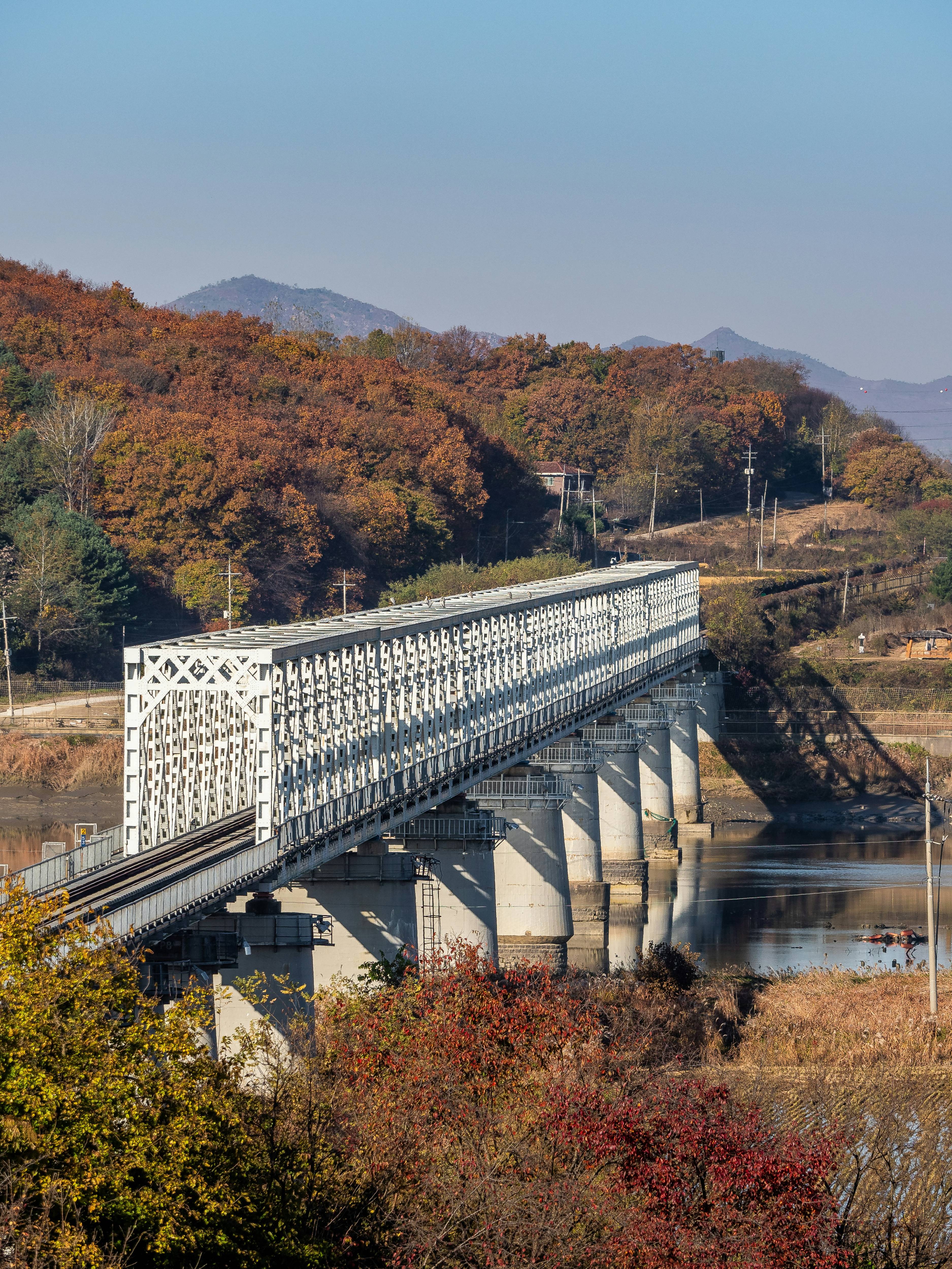 대중교통