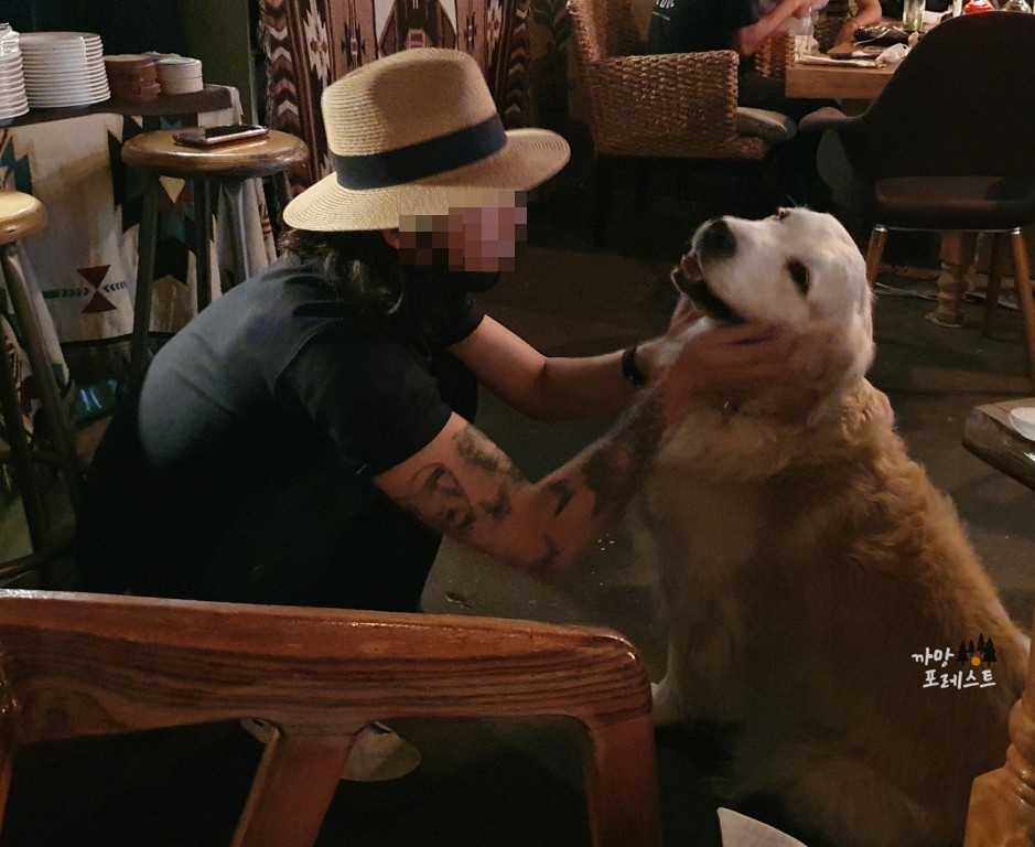 애월 인디언썸머 대형견