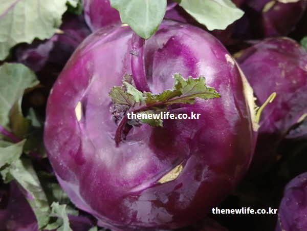 콜라비 효능을 돕는 영양 성분이 풍부한 실사진